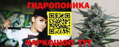прущие крисы Гусиноозёрск