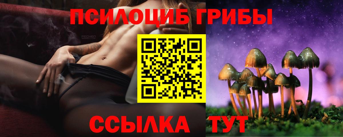 Галлюциногенные грибы Psilocybine cubensis  Галлюциногенные грибы Cubensis  Вход с VPN  Нижний Тагил 
