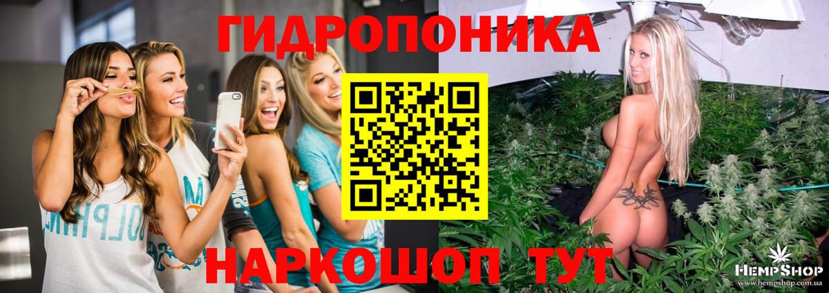 Бошки марихуана Amnesia Нижний Тагил